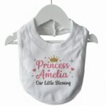 Princess (Name) Bib